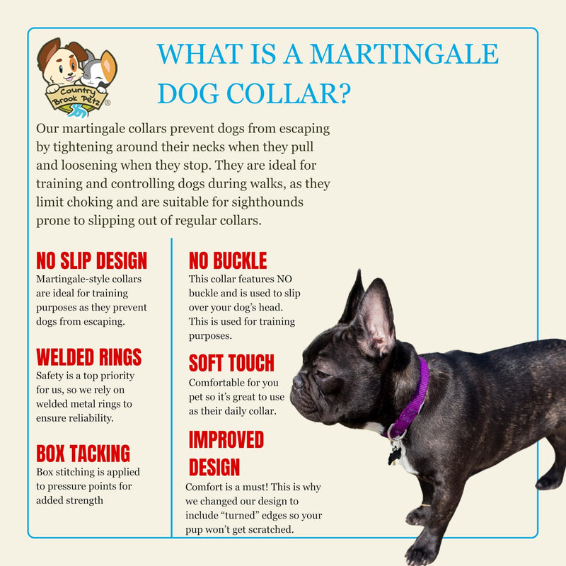 Country Brook Petz - Martingale Dog Collar - Heavy-Duty Training Collar with No Buckle - Service Dog Collar for All Pups - 10+ Cool Colors (Purple, 1 Inch, Medium) Medium (Pack of 1) Purple - PawsPlanet Australia