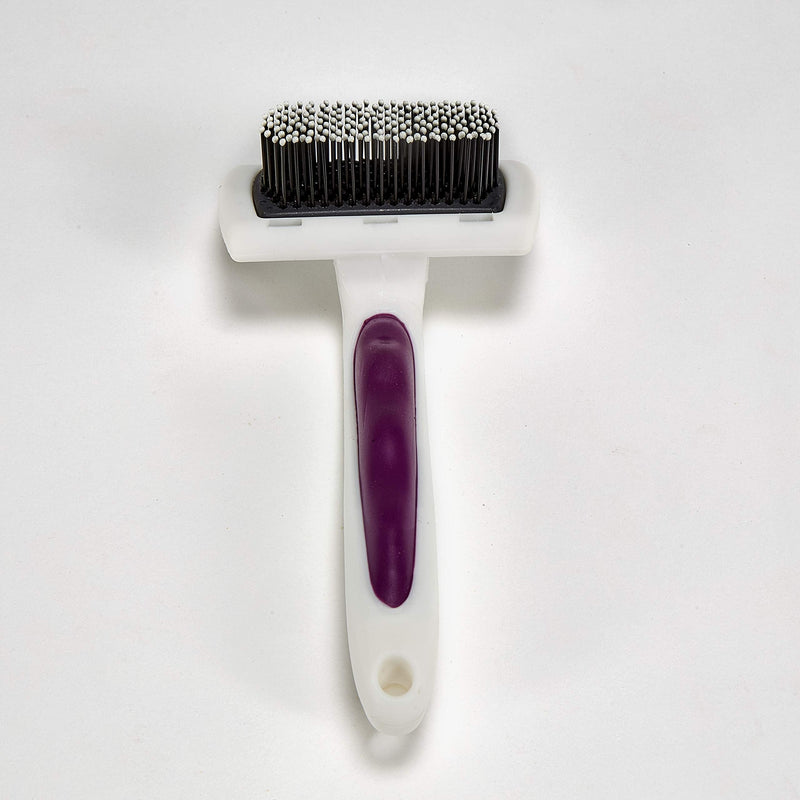 Kaytee Pro-Slicker Brush White, Large - PawsPlanet Australia