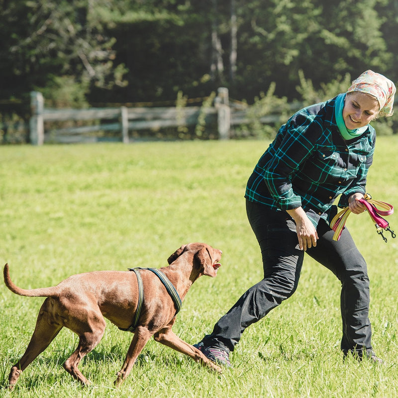 Hurtta Padded Dog Y-Harness 2, Raven, 22 in 22" - PawsPlanet Australia