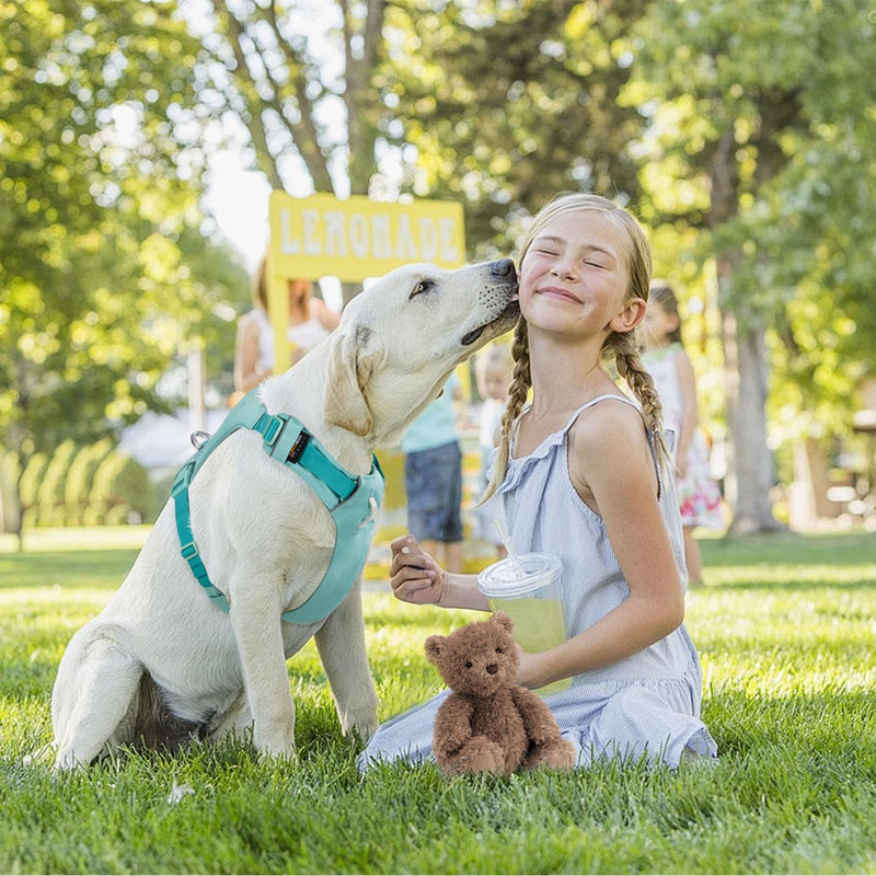 Adjustable Dog Harness Comfortable Vest in Durable Nylon with Strong Buckles, Ideal for Walking, Training, Travel, Outdoor, Small Medium Large Dogs, Green, L Lake green - PawsPlanet Australia