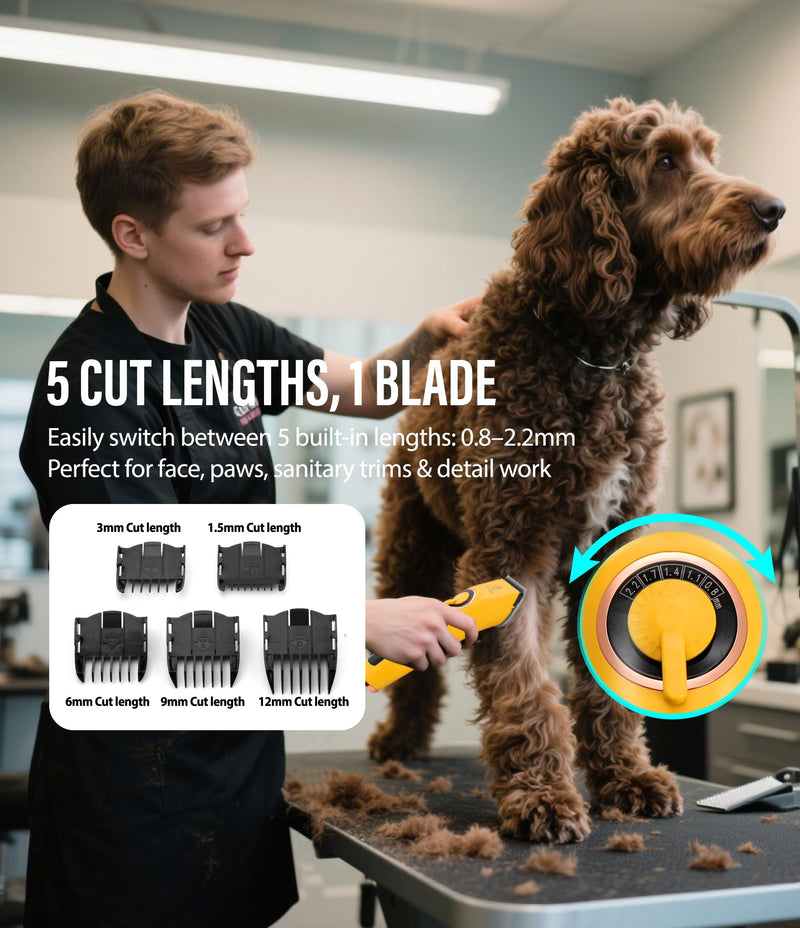 Professional Dog Grooming Clippers with 12H Runtime & Replaceable 440C Blade, 3-Speed Low Noise Electric Dog Shaver for Thick, Matted, Curly Hair, Cordless Clipper for Groomer & Home Use, White Clipper+10FC Blade - PawsPlanet Australia