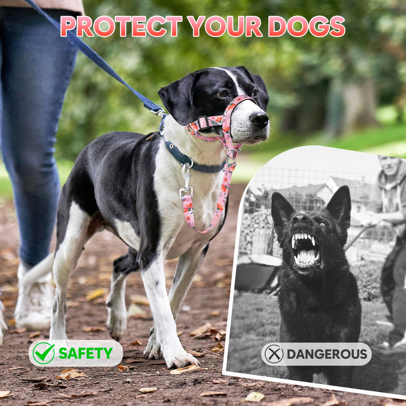 Dog Head Collar, Printed No-Pull Headcollar, Adjustable Dog Head Halter Gentle Lead with Safety Link, 3 Colors Muzzle Leash for Small Medium Large X-Large Dogs Easy Walks (Small, Mimosa) - PawsPlanet Australia