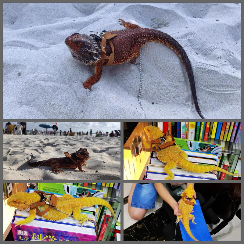 Bearded Dragon Harness and Leash Adjustable(M,L,XL) - Soft Leather Reptile Lizard Leash Accessories for Bearded Dragon, Lizard and Other Small Pets (XL) XL - PawsPlanet Australia