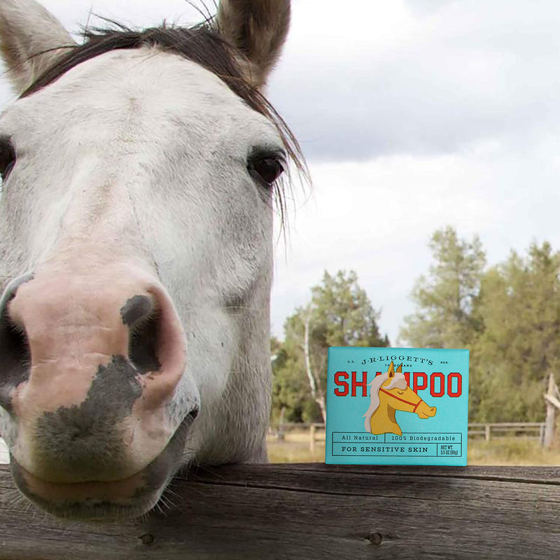 J.R.LIGGETT'S Natural Horse Shampoo Bar - Non-GMO, 100% Detergent-Free Formula Gently Deep Cleans and Supports Healthy Skin and Coat - Ideal for Dry, Itchy, or Sensitive Horses - 3.5 oz Bar