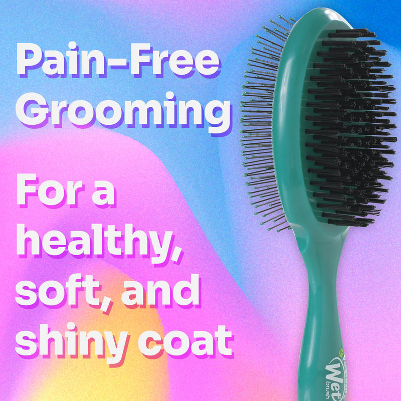 Wet Brush Ultimate Grooming 2-in-1 Dual Sided Detangling Pet Brush - Ultra Soft IntelliFlex Bristles Remove Loose Hair & Dirt - Detangler for Dogs, Cats, Rabbits - Teal Blue - PawsPlanet Australia