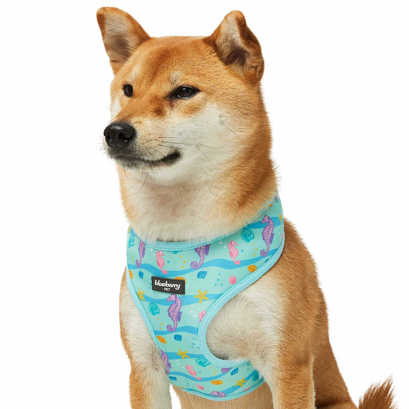 Blueberry Pet Summer Sparkle Dog Harness Vest, Adjustable Medium Size, Chest Girth 19.5" - 26", Turquoise, Ocean Fish and Seahorse Print Nautical Pet Harness (19.5" - 26") Chest Girth (Pack of 1) Seahorse and Friends - PawsPlanet Australia
