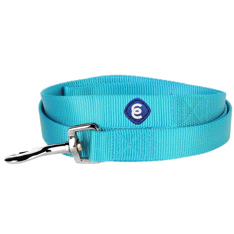 Blueberry Pet Essentials Turquoise Dog Leash for Small -5' * 5/8" Dogs | Heavy Duty Nylon Lead | Lightweight Puppy & Cat Leash for Walking & Training - PawsPlanet Australia