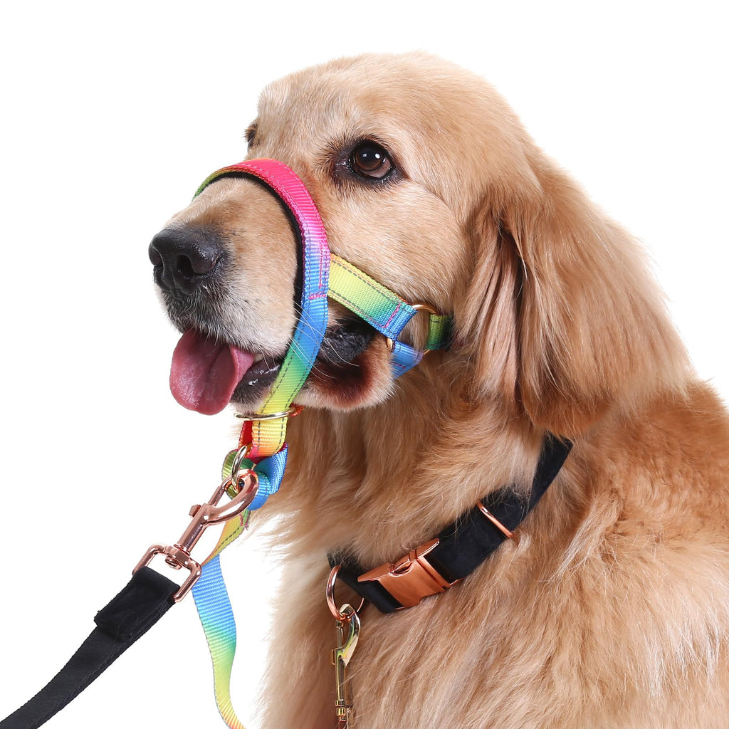 Rainbow Dog Head Collar Stops Medium Large Dogs Pulling on Leash for Walking (Rainbow, L) Rainbow