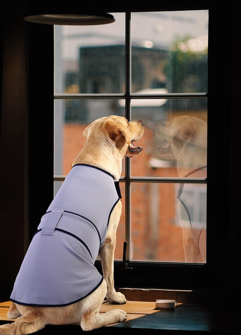 Dog Anxiety Dog Jacket,Dog Thunder Calming Shirt Wrap Vest for Large Dogs,Travel, Fireworks, Separation, Bluish Grey L Sky Blue - PawsPlanet Australia