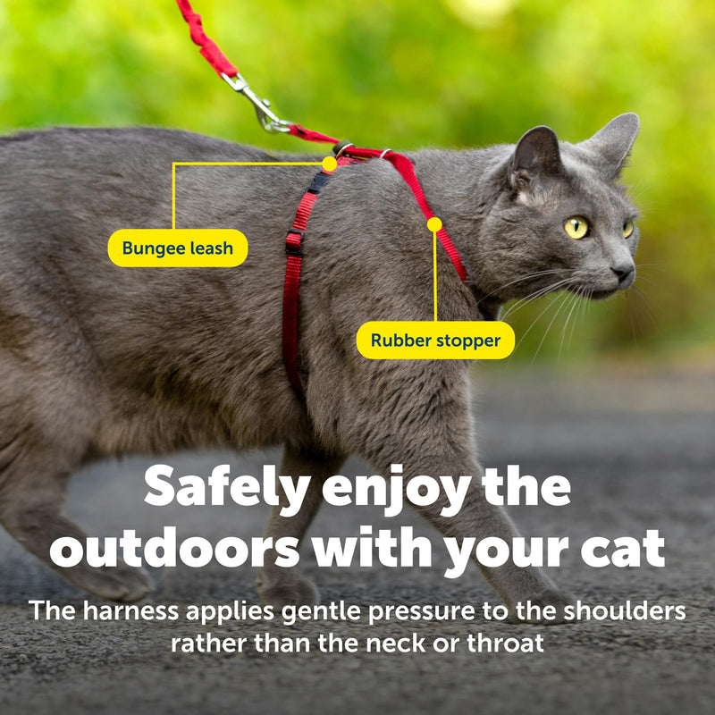 PetSafe Come With Me Kitty Harness and Bungee Leash, Medium, Red Medium (Pack of 1) - PawsPlanet Australia