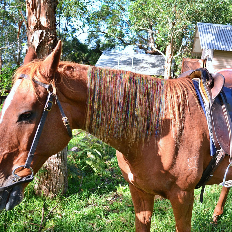 Horse Braiding Kit for Party Styling, Complete Horse Grooming Set – Essential Supplies for Dressing Up Your Horse for Events and Celebrations. - PawsPlanet Australia