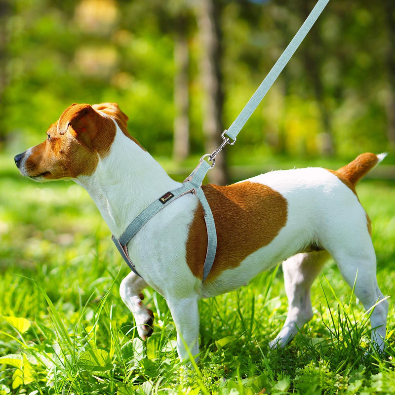 Plutus Pet Cotton Hemp Step in Dog Harness, Sustainable, Lightweight and Escape-Proof, Quick Fit Dog Harness for Puppy Small Medium and Large Dogs, Light Blue, XS - PawsPlanet Australia