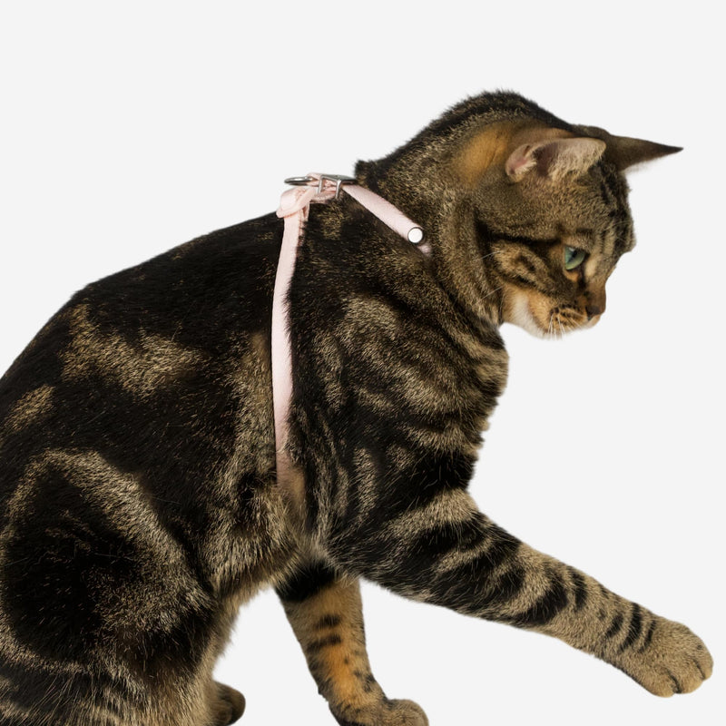 Escape Proof Cat Harness Anti-Choke Quick Release Adjustable QR Code Soft Nylon Durable Lightweight Figure 8 Cat Harness Anti Escape for Kitten Small Medium Large Cats (Blush Pink, M) Blush Pink - PawsPlanet Australia