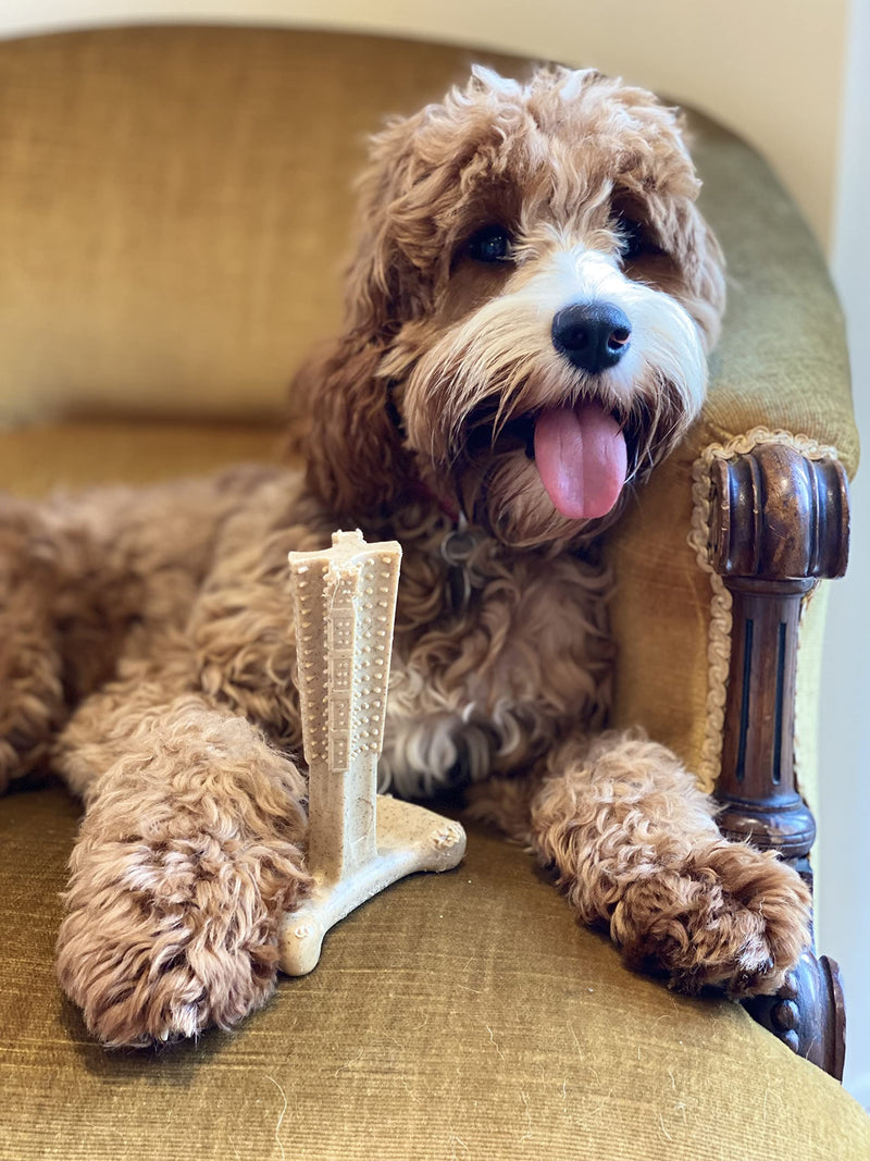 Bamboodles Large Dog Chew toy - Peanut Butter flavour - PawsPlanet Australia