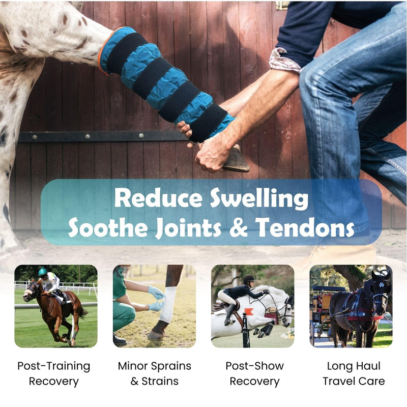 Reusable Gel Horse Ice Boots – 2 Pack Cold Therapy Gel Wraps with Adjustable Straps for Horses’ Leg, Ankle, and Knee, Reusable Cooling Boots for Equine Care & Equestrian Use Aqua Blue with Orange Trim - PawsPlanet Australia