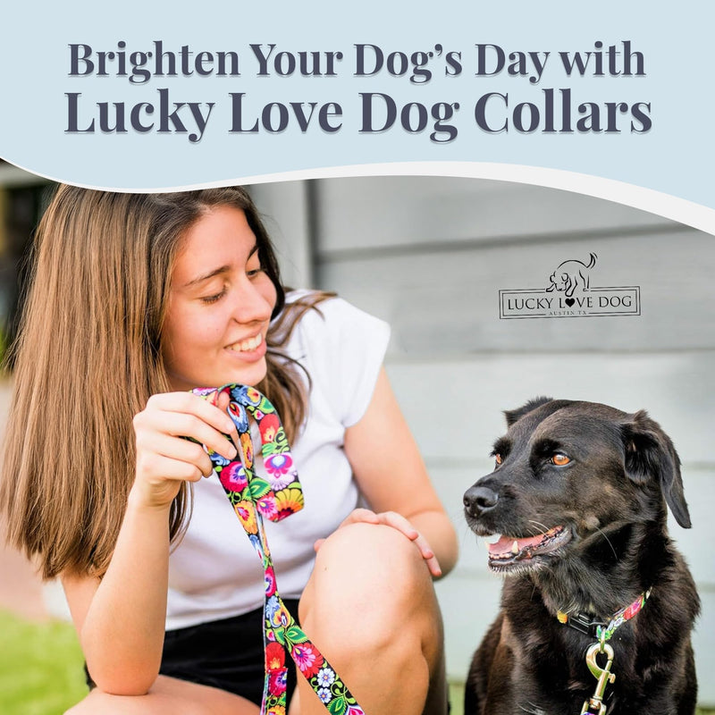 Lucky Love Dog - Easy Click Buckle Dog Collar with Leash Set Combo, Durable & Comfortable for Male & Female Dogs, Pet Collar for Small to Large Dogs, Secure Fit - Blackbird Combo, Small Small | 10-15" Blackbird Collar/Leash Combo - PawsPlanet Australia