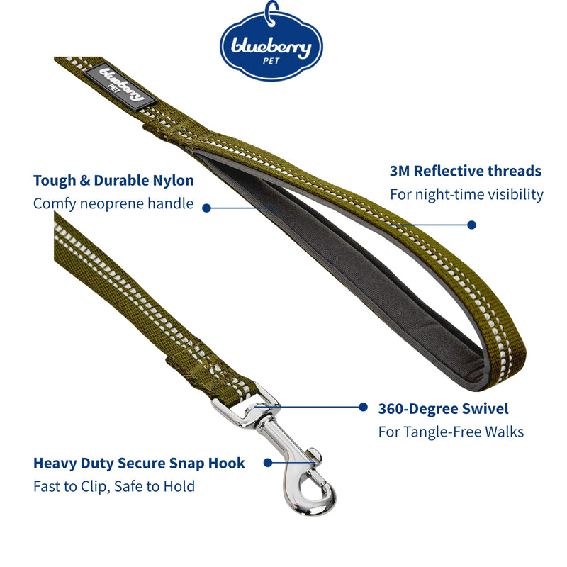 Blueberry Pet 3M Reflective Pastel Color Dog Leash with Soft & Comfortable Handle, 5 ft x 3/4", Olive Green, Medium, Leashes for Dogs Large - PawsPlanet Australia