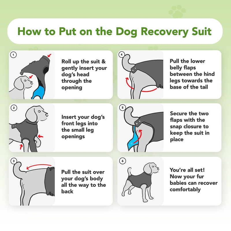 Suitical Recovery Suit for Dogs - Dog Surgery Recovery Suit with Clip-Up System - Breathable Fabric for Spay, Neuter, Skin Conditions, Incontinence - M+ Dog Suit, Black M+(24-28.3 in) - PawsPlanet Australia