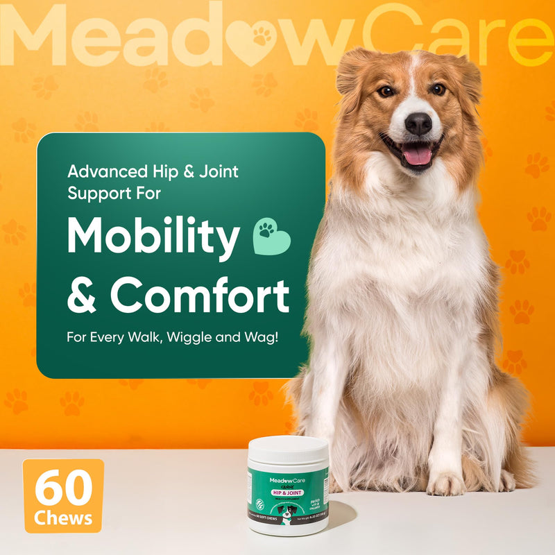 Hip and Joint Supplement for Dogs | MSM, Chondroitin & Glucosamine for Dogs | Supports Bone, Cartilage & Connective Tissue Health | Dog Joint Supplement | 60 Soft Chews180 g (6.35 oz) | MeadowCare - PawsPlanet Australia