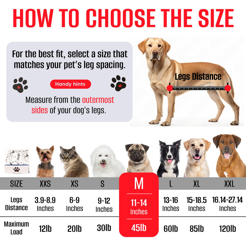 Dog Grooming Hammock for Dogs – Dog Restraint for Nail Trimming with Pet Nail Clipper – Dog Sling for Grooming, Dog Hammock for Nail Cutting & Grooming Harness (Legs Spacing:11-14”)/Max W:45lb) M(Leg Spacing: 11-14") / 45 Pound) - PawsPlanet Australia