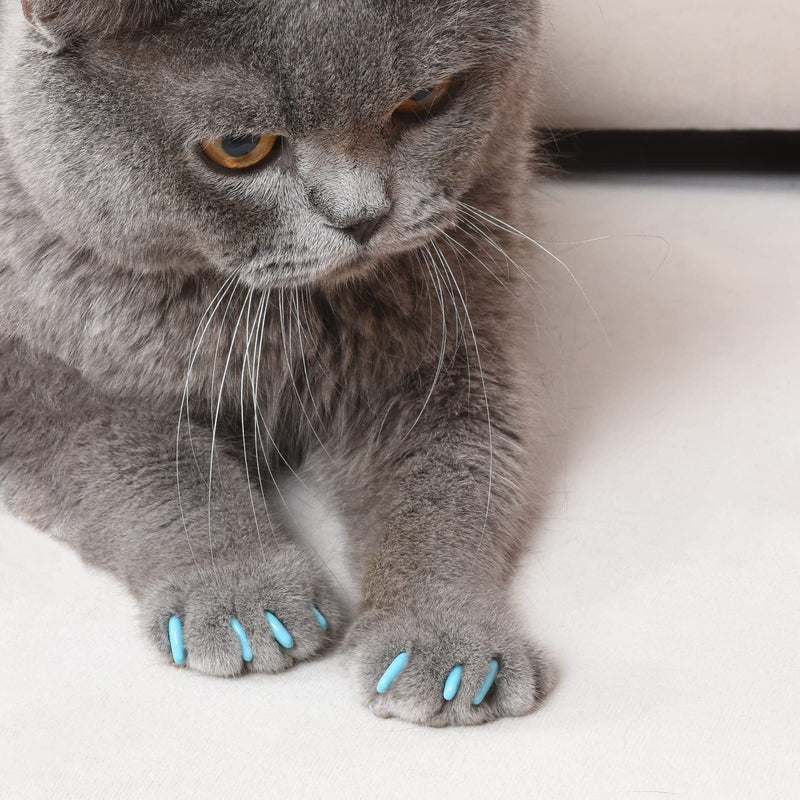 Kitty Caps Nail Caps for Cats Black with Gray Tips & Baby Blue, 40 Count - 3 Pack Safe, Stylish & Humane Alternative to Declawing Stops Snags and Scratches FF9325PCS3 Large (13 lbs or Greater) - PawsPlanet Australia