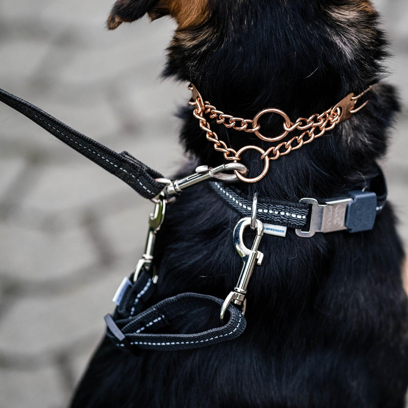 Herm. Sprenger Prong Collar Safety Clip with Reflective Stripes 6"-8" - Pack of 1 Dog Leash Safety Strap - Enhanced Durability for Secure Leash Connection - Ideal for Safe Walk and Training (Black) Black - PawsPlanet Australia