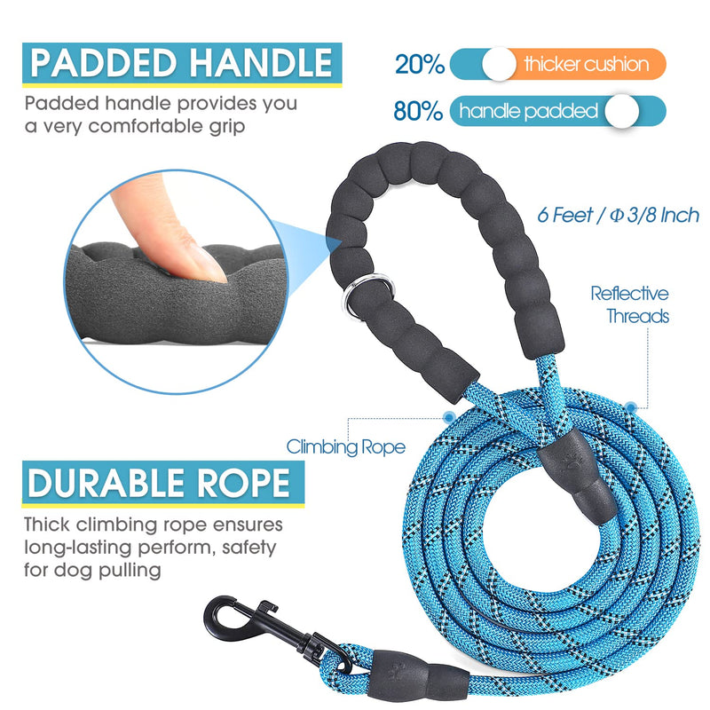 BAAPET Breathable Dog Harness for Small Puppy, Medium Dogs Step-in and Air Mesh with 6 Feet Reflective Rope Dog Leash M - 6 FT x Chest (18~22'') Blue