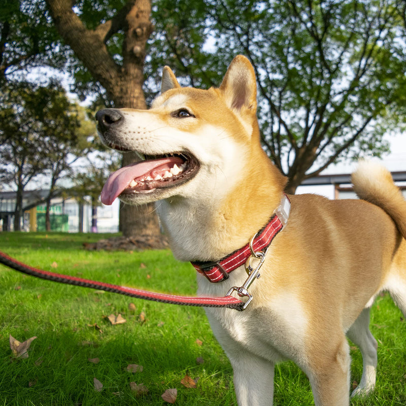Reflective Dog Collar and Leash Set for Large Dogs, 4 FT/5 FT Dog Leash, Handle with an O-ring, Adjustable Mesh Padded Large Dog Collar with Quick Release Buckle-Red Large Set Red Set - PawsPlanet Australia