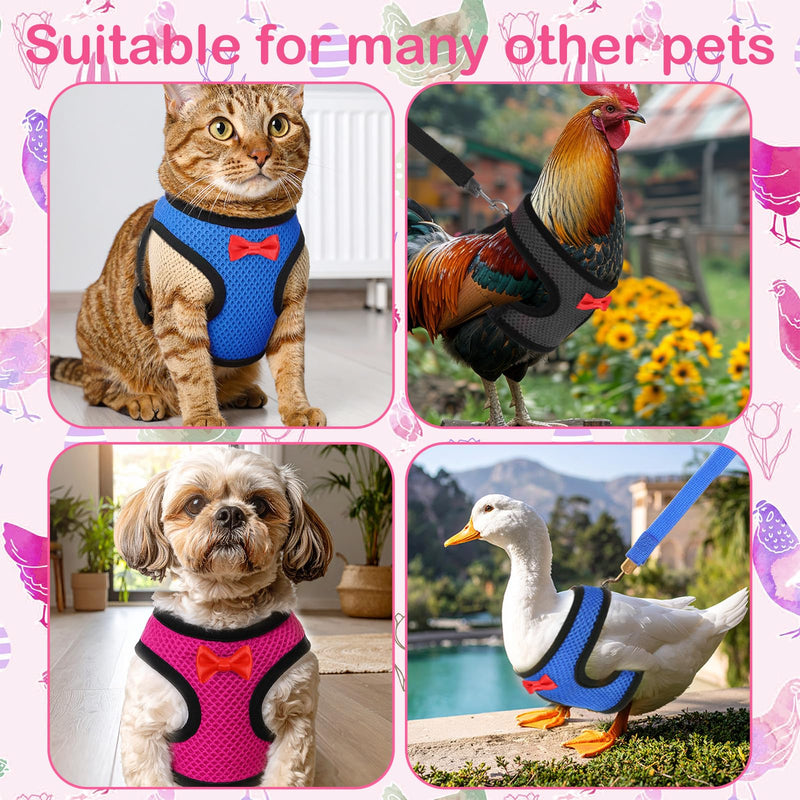 4 Pcs Adjustable Chicken Leashes and Harnesses Set, Double Adjustment Chicken Harness Comfortable Nylon Chickens Vest with 1.1M Leash for Hens, Ducks, Geese, Small Pets (4 Colors, M) - PawsPlanet Australia