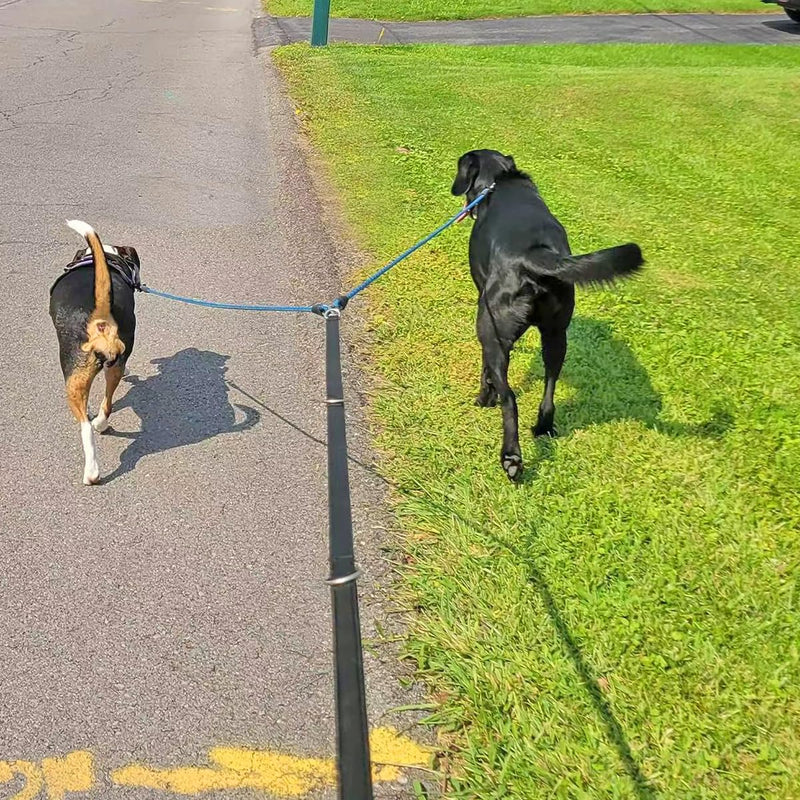 5 FT Double Dog Leash Coupler, Tandem Leash for Two Dogs, No Tangle 360° Swivel Rotation Dual Strong Dog Leash Splitter, for Large Medium Strong Puppy Dogs (3/8inch- Black) 3/8"D x 5ft