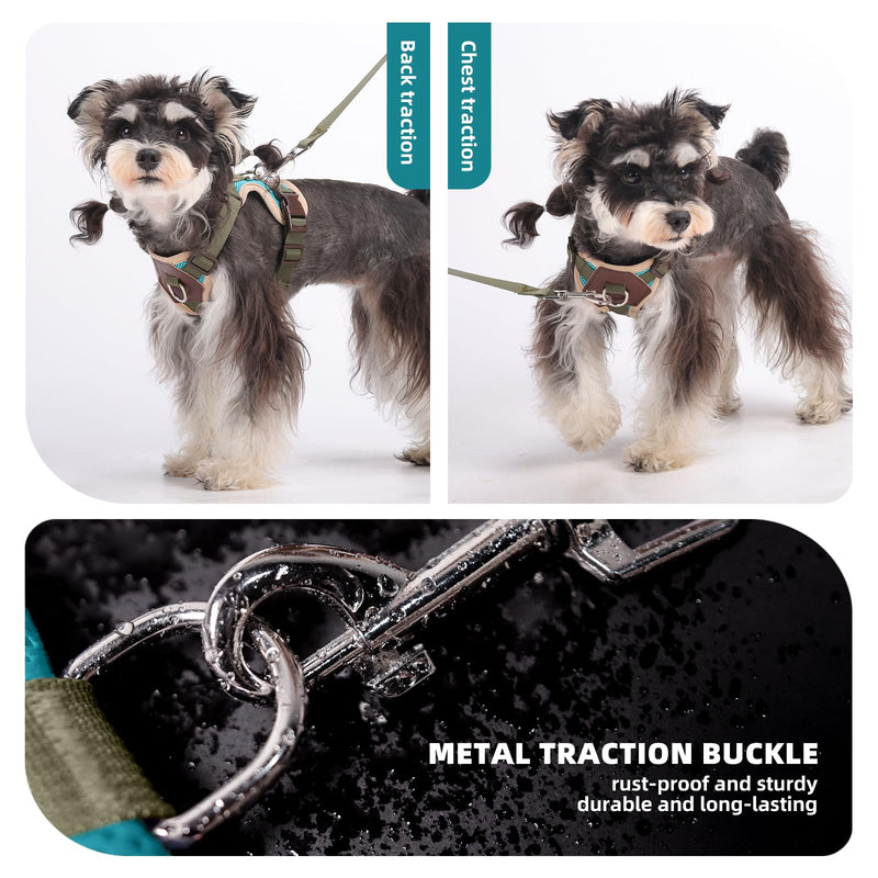 Small Dog Harness and Leash Set, Breathable Mesh Puppy Harness, Adjustable Dog Harness for Small Medium Large Dogs, No-Pull Pet Harness for Daily Walking (Lakeblue, Large) Lakeblue L - PawsPlanet Australia