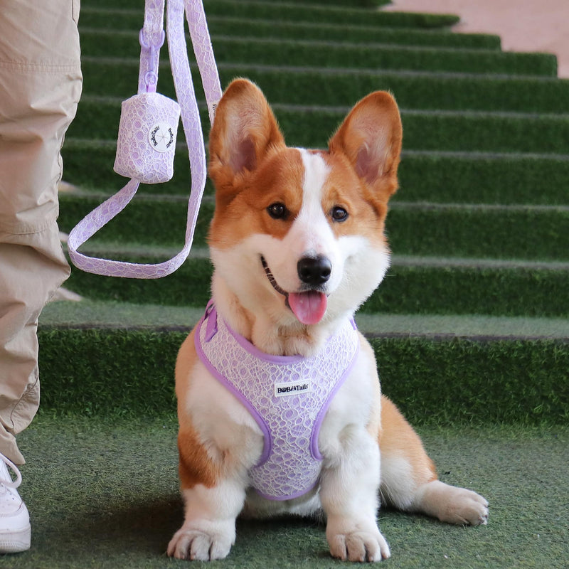 Lavender Lace Dog Harness with D-Ring Leash Clip Set,Adjustable Soft Padded and Cotton Fabric Pet Vest for Large,Medium and Small Dogs (Lanvender, Small) Lanvender - PawsPlanet Australia