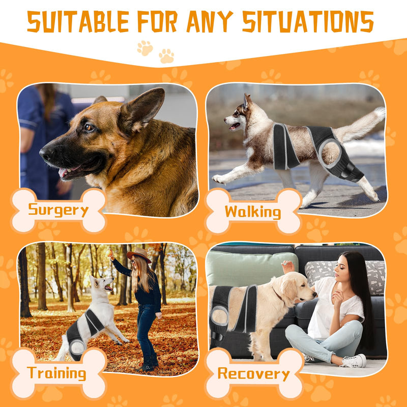 Dog ACL Knee Leg Brace, Dog Hip Brace for Front Torn and Back ACL Hind Rear Legs, Comfortable & Adjustable Tailwind Dog Hip Dysplasia Brace for Dog Arthritis, Luxating Patella with 10X Support (L) L - PawsPlanet Australia