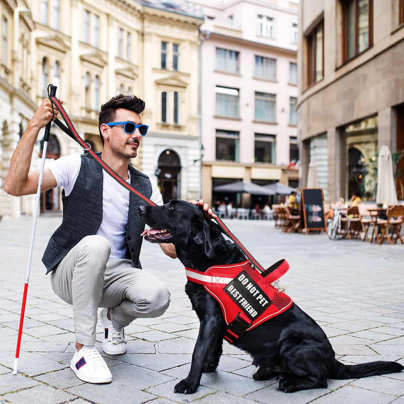 Service Dog Vest+ID Tag+Leash+6 Pcs Patches,Air Mesh Service Dog Harness with 2 Handles Dog Leash,2-Sided Metal Tag for Service Animals for Walking Training,No Pull Pet Harness Set Red XL X-Large - PawsPlanet Australia