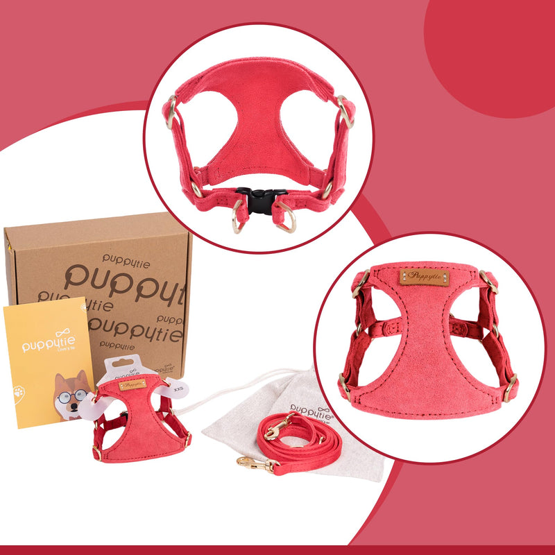 Puppytie No Pull xs Dog Harness with Multifunction Dog Leash,Soft Adjustable No Choke Escape Proof Pet Harness Vest,red-Camellia,XS red-camellia XS(4.5-11lb? - PawsPlanet Australia