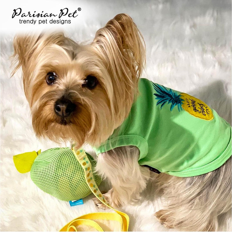 Parisian Pet Pineapple 4Ft Heavy Duty Nylon Dog Leash - Yellow, Odor Proof, Training Leash for Small & Medium Dogs Pineapples - PawsPlanet Australia
