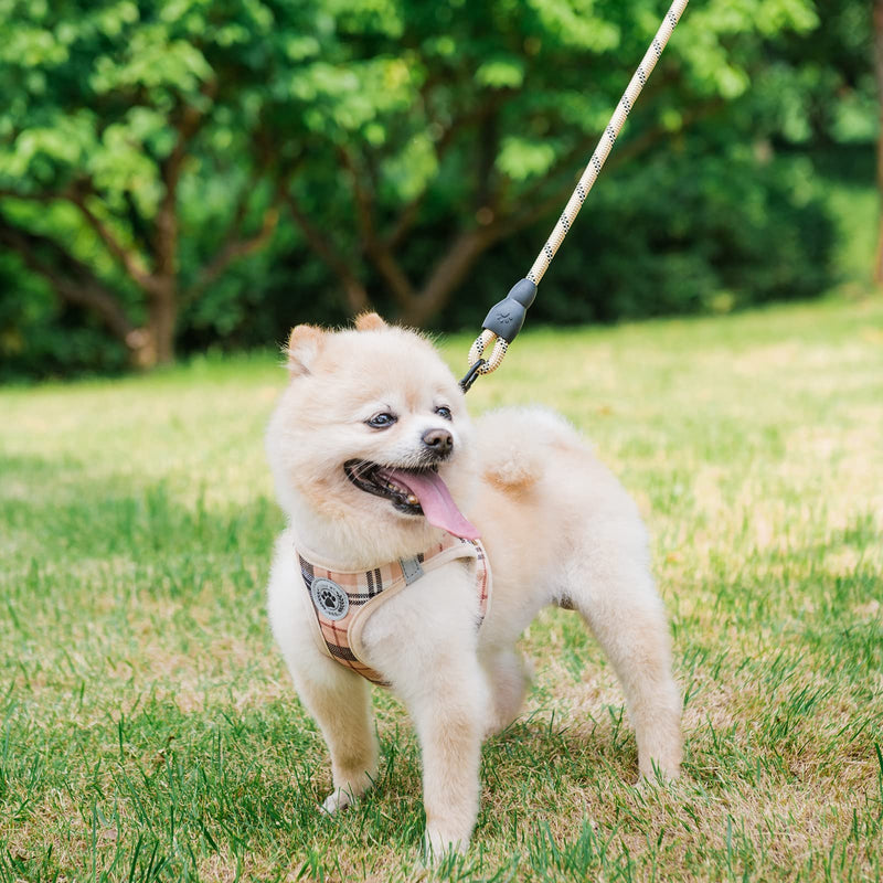 BEAUTYZOO Small Plaid Dog Harness and Leash Set for XS S Pets, Step in No Chock No Pull Soft Mesh Dog Vest Harnesses Reflective for Extra-Small/Small Medium Puppy Dogs and Cats, Beige S Small(Chest Girth 14.5" - 16")