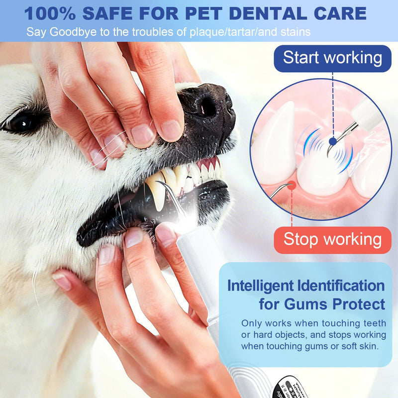 ETACCU Dog Plaque Remover for Teeth, Dog Plaque Remover Tool with LED Light, 5 Modes Teeth Cleaning Tools, Low Noise Pet Tooth Brushing Kit Dental Tools for Dog and Cat, White - PawsPlanet Australia
