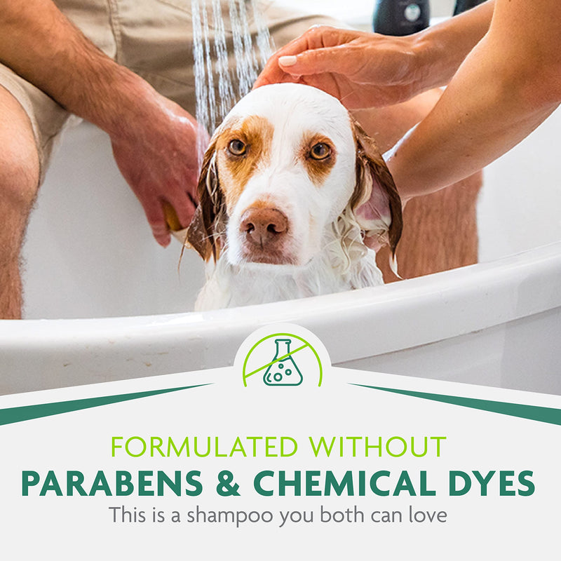 FURminator Sensitive Skin Ultra Premium Shampoo for Dogs, 16 Oz. - PawsPlanet Australia