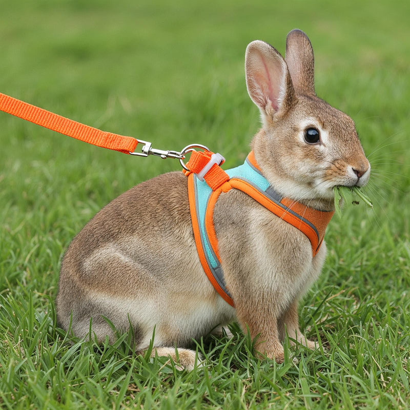 Bunny Harness and Leash Set, Adjustable Double Buckles Breathable Mesh Rabbit Vest with Reflective Strips, Escape Proof Small Pet Walking Training Gear for Rabbits, Kittens, Ferrets, Guinea Pigs (M) - PawsPlanet Australia