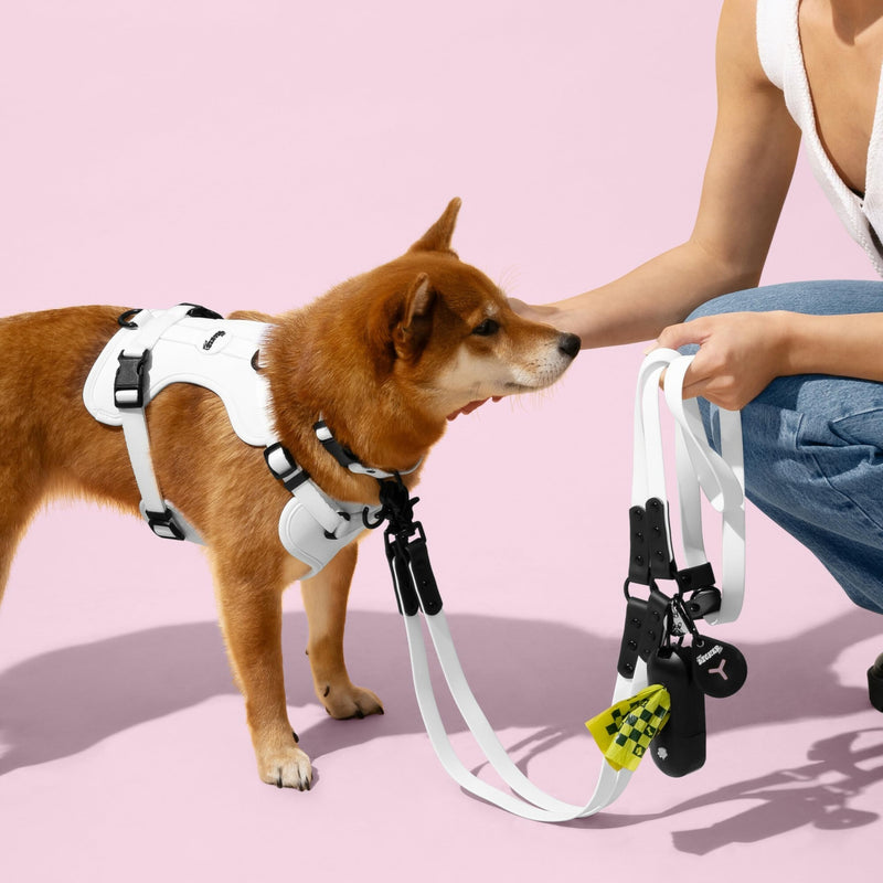 HNS1002F Arlo Medium Adjustable Soft Padded No Pull Pet Harness with 3 Buckles and 3 Leash Clips, Seltzer White Medium (Chest: 18 - 28") - PawsPlanet Australia
