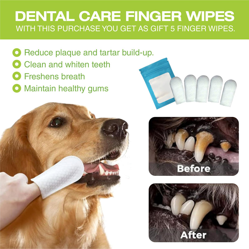 Dog ACL Knee Brace Dog ACL Dog Braces for Back Leg. Dog Front Leg Brace. Dog Assistance for Back Legs. Knee Brace for Dog Knee Brace for Luxating Patella. Dog Shoulder Brace. Dog Leg Brace Front L - PawsPlanet Australia