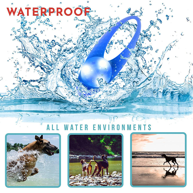LaRoo LED Dog Collar Light - Waterproof Clip-On 3 Modes, High Visibility for Night Walking/Camping, Pet Safety Light for Small/Medium/Large Dogs (Blue) Blue-A - PawsPlanet Australia