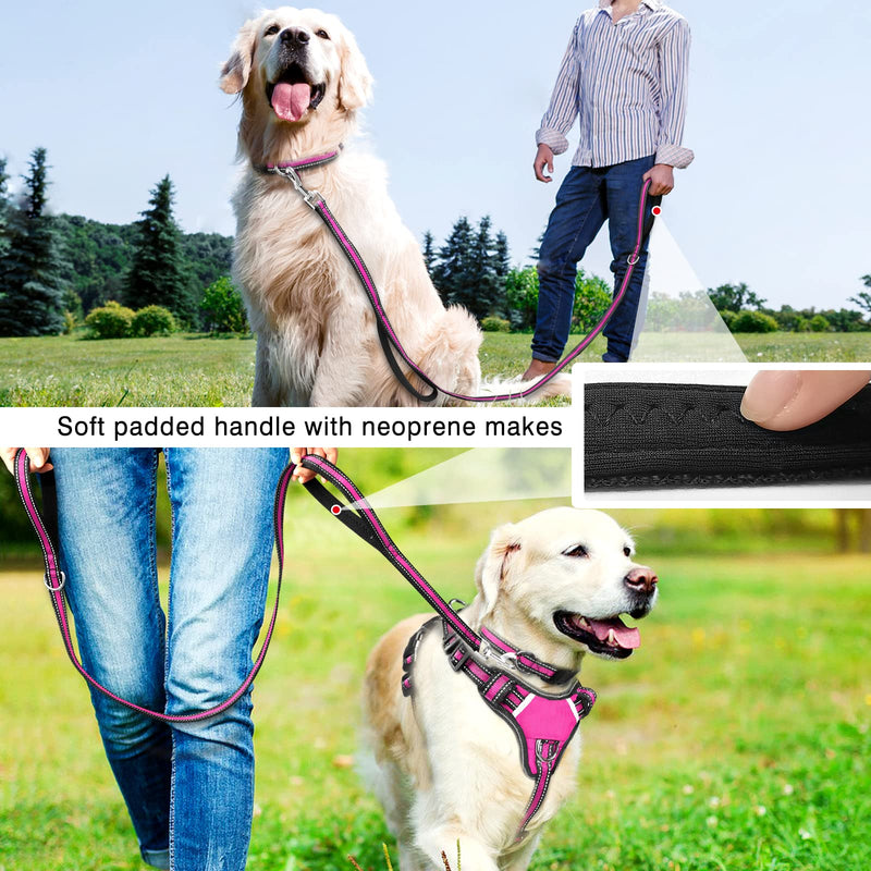 WINSEE Pet Harness Collar and Leash Set, All-in-one Reflective Dog Harness No Pull with Adjustable Buckles for Puppies, Small, Medium, Large, and Extra-Large Dogs (Medium, Rosy) - PawsPlanet Australia