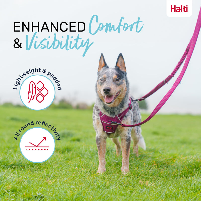 HALTI Anatomy Multifunctional Dog Leash - Shock Absorbing Double-Ended Leash, Ideal for Dog Walking & Training. Comfortable to Hold, Reflective & Lightweight. Suitable for Puppies (Size Large, Teal) L