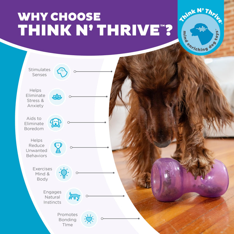 Outward Hound Double Snoop Interactive Treat Stuffer Durable Dog Toy, Dog Treat Toy, Purple One-Size - PawsPlanet Australia