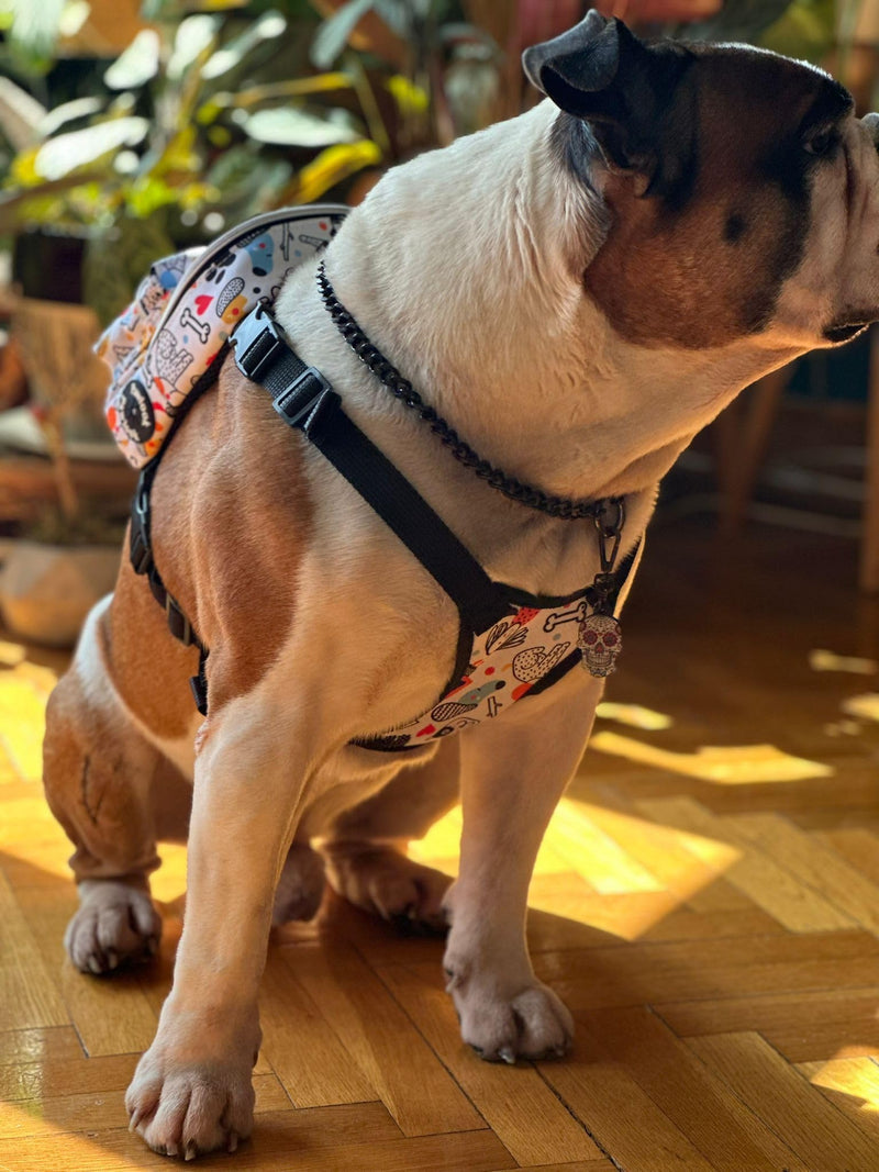 PawLook Dog Backpack to Wear with Chest Harness Self Carrier dogbag with Additional Pocket for Poop Bag Anti Slip Stylish Dog Bag for Your pet Street Smart Serie White Bone Medium WHITEBONE M - PawsPlanet Australia