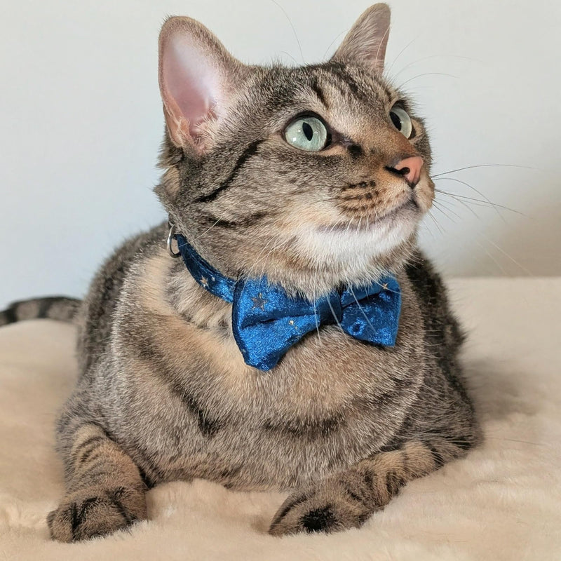 Celestial Cat Collar – Adjustable Breakaway Collar for Cats with Star Charm – Velvet Bowtie Collar | Kawaii Cat Collar (19–25 cm / 7.5–10") (Teal) Teal - PawsPlanet Australia
