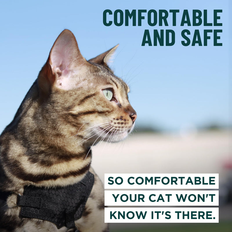 Houdini™ Escape Proof Cat Harness and Leash Set by OutdoorBengal – Red, Medium Cat Harness for Walking M/L - PawsPlanet Australia
