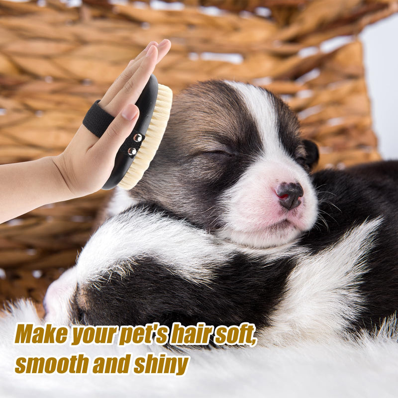 Pet Palm Brush for Dogs & Cats, Puppy Hand Brush for Massaging Grooming Shedding, Soft Bristle Kitten Brush Efficient Pet Loose Hair Remover Comb Supplies for Long and Short Hair Pets(Black) Black - PawsPlanet Australia